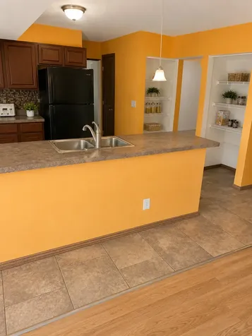 435 Victory Drive Park Forest IL 60466