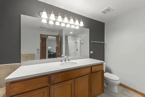 18610 Pine Lake Drive Tinley Park IL 60477