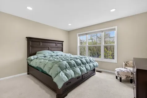 484 West Haleys Hill Court Palatine IL 60074