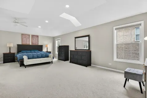 484 West Haleys Hill Court Palatine IL 60074