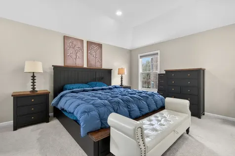484 West Haleys Hill Court Palatine IL 60074