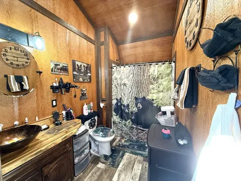3495 Friendship Loop Goreville IL 62939