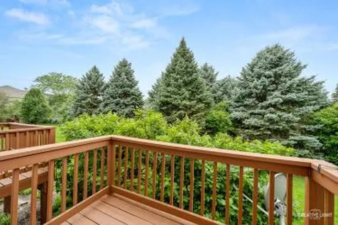 324 Abington Woods Drive Aurora IL 60502