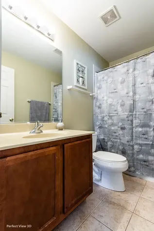 919 Violet Drive Hanover Park IL 60133