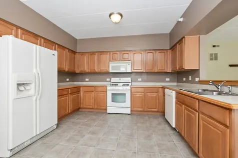 16611 Liberty Circle Orland Park IL 60467