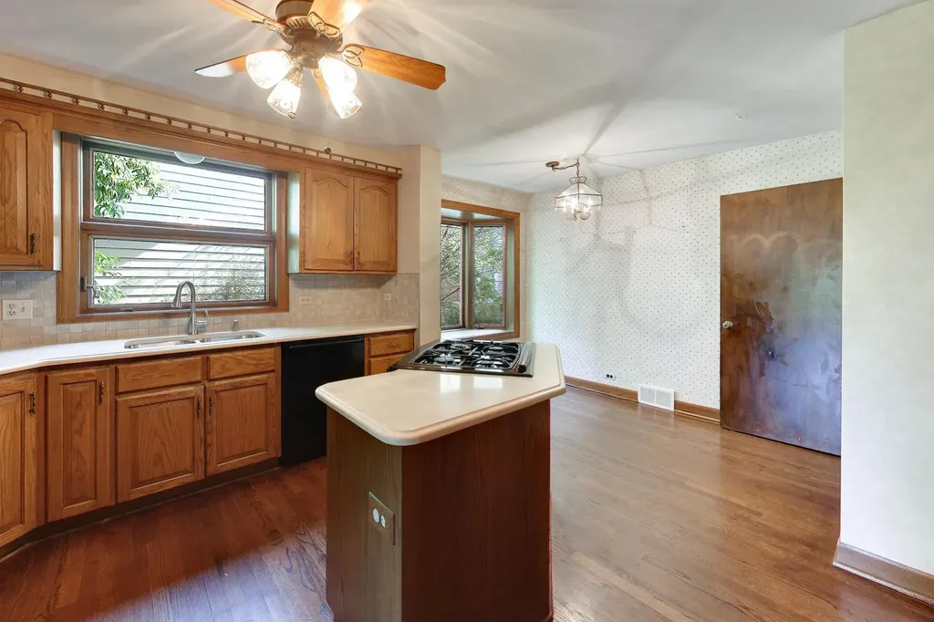 1216 South Lincoln Avenue Park Ridge IL 60068