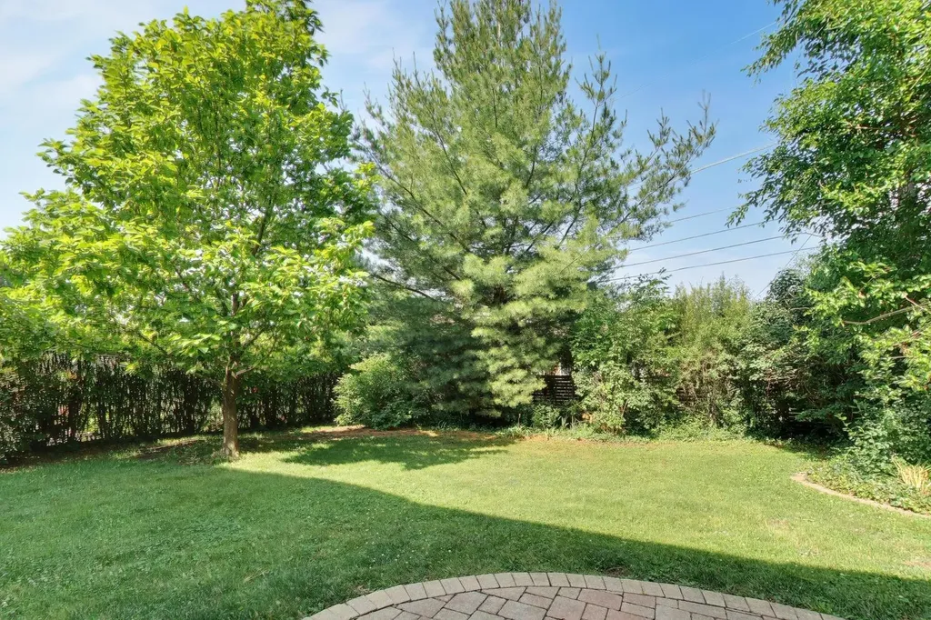 1216 South Lincoln Avenue Park Ridge IL 60068