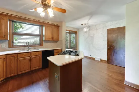 1216 South Lincoln Avenue Park Ridge IL 60068