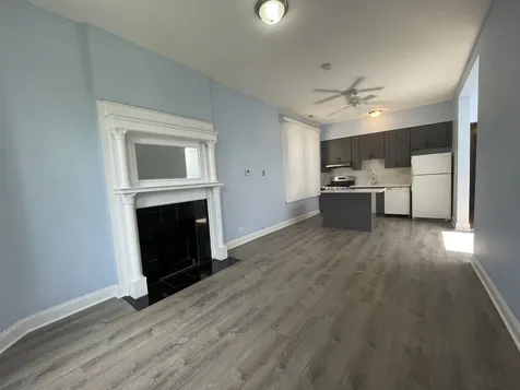 1039 South Racine Avenue Chicago IL 60607