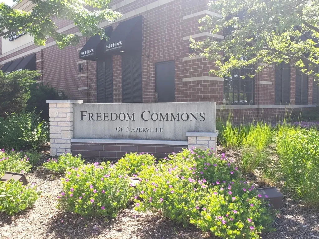 1221 Josiah Road Naperville IL 60563