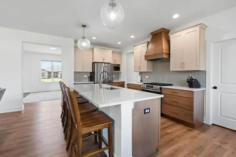 1091 Kinley Drive New Lenox IL 60451
