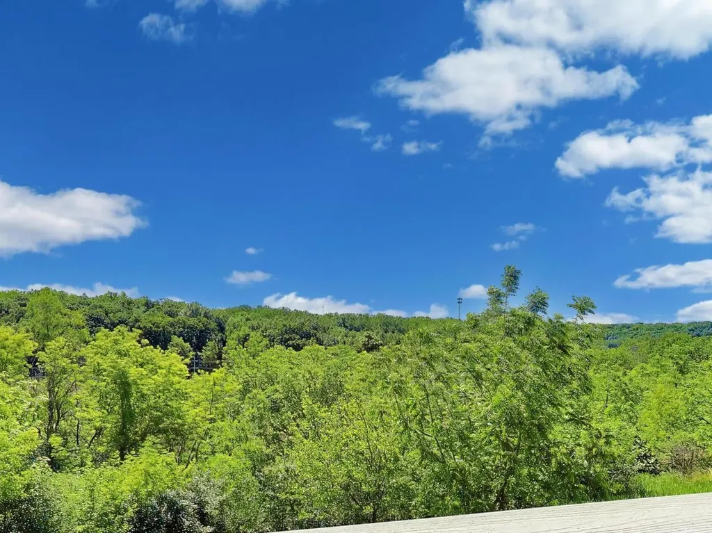 986 Viewpoint Drive Lake In The Hills IL 60156