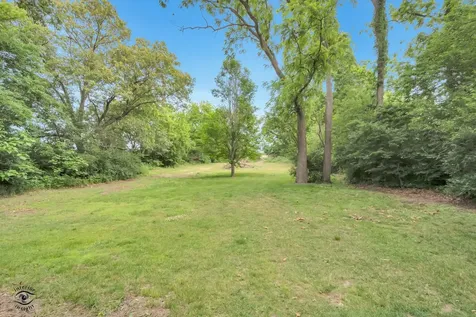 5559 East Boy Scout Road St. Anne IL 60964