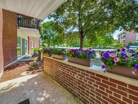 1025 South Fernandez Avenue Arlington Heights IL 60005
