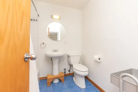 1455 North Sandburg Terrace Chicago IL 60610
