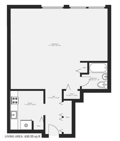 1455 North Sandburg Terrace Chicago IL 60610