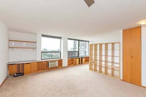 1455 North Sandburg Terrace Chicago IL 60610