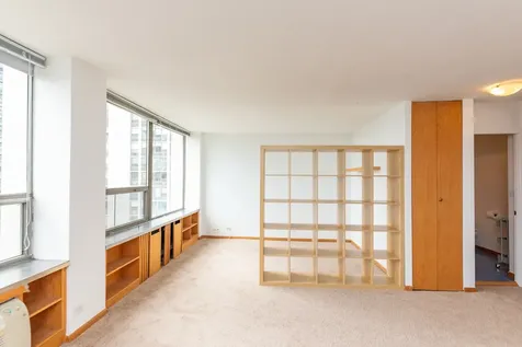 1455 North Sandburg Terrace Chicago IL 60610