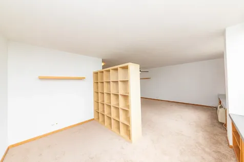 1455 North Sandburg Terrace Chicago IL 60610