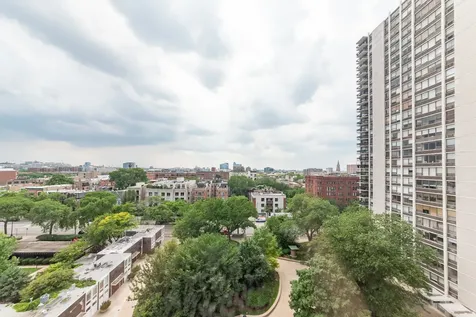 1455 North Sandburg Terrace Chicago IL 60610