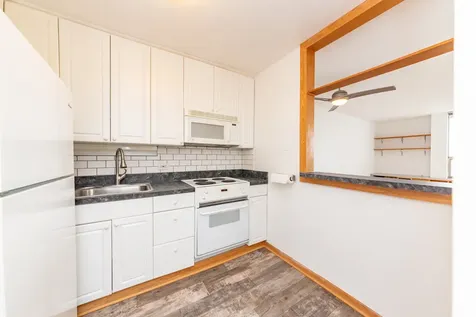 1455 North Sandburg Terrace Chicago IL 60610