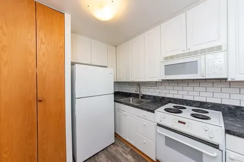 1455 North Sandburg Terrace Chicago IL 60610