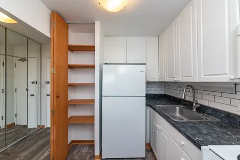 1455 North Sandburg Terrace Chicago IL 60610