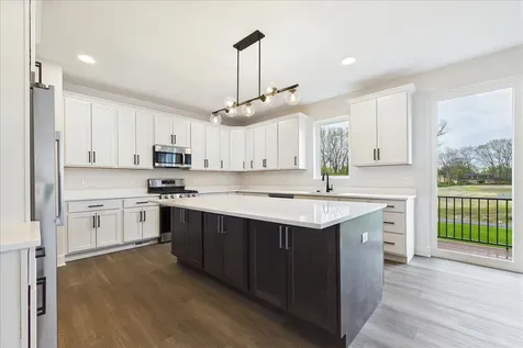 22043 West Casa Bella View Kildeer IL 60047