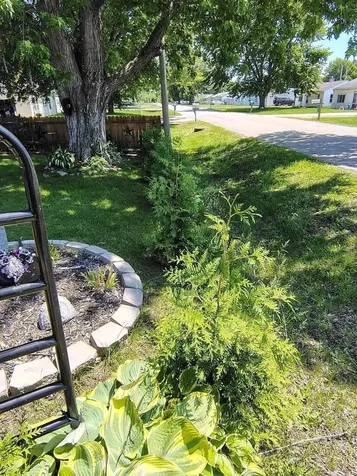 16925 10TH Avenue East Moline IL 61244
