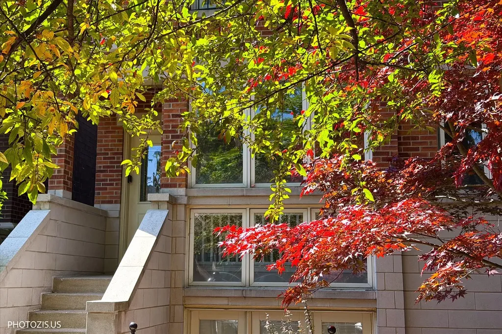 1717 West Nelson Street Chicago IL 60657