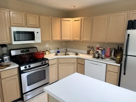 1530 East Chivalry Court Palatine IL 60074