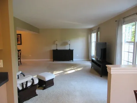 11934 Sterling Drive Orland Park IL 60467