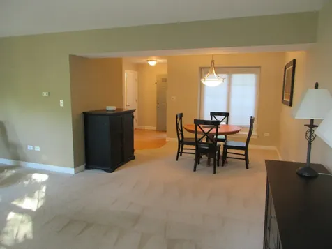 11934 Sterling Drive Orland Park IL 60467