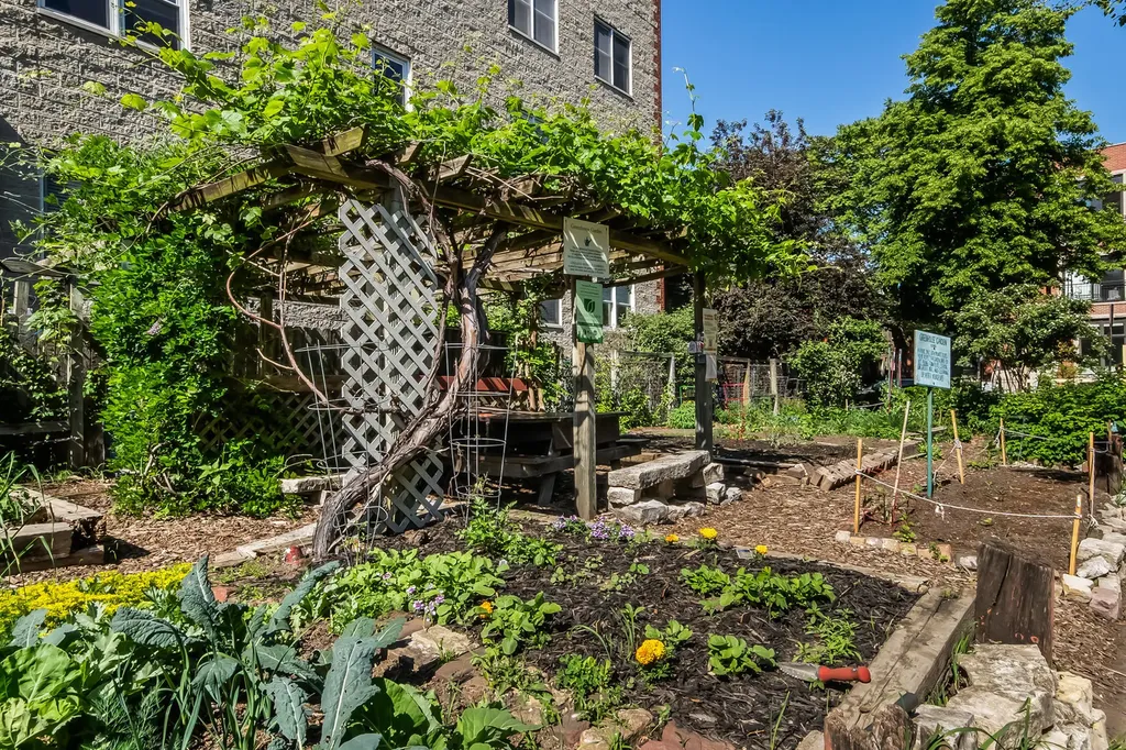 1803 West Thomas Street Chicago IL 60622
