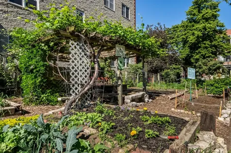 1803 West Thomas Street Chicago IL 60622
