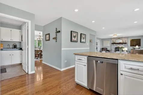 19612 Silverside Drive Tinley Park IL 60487