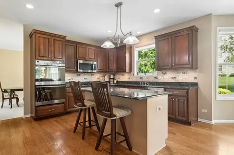460 West Haleys Hill Court Palatine IL 60074