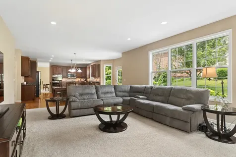 460 West Haleys Hill Court Palatine IL 60074