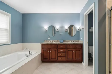 460 West Haleys Hill Court Palatine IL 60074