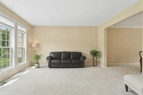 460 West Haleys Hill Court Palatine IL 60074