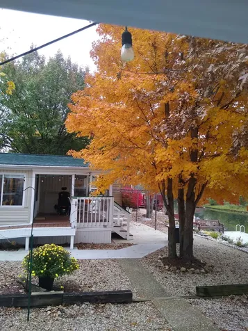 157 Fossil Cove Lane Wilmington IL 60481