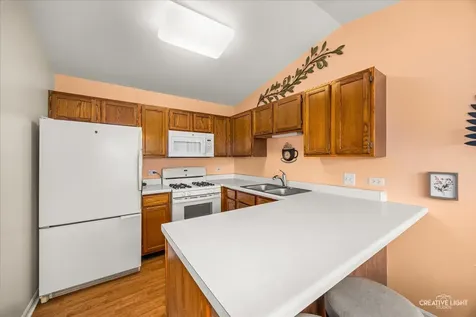 1103 Stratford Court Elgin IL 60120