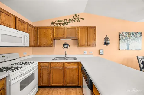 1103 Stratford Court Elgin IL 60120