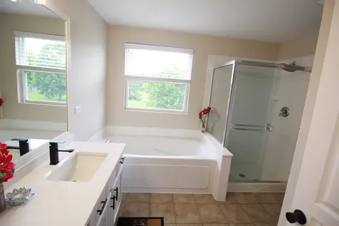 4 Catalpa Court Bolingbrook IL 60490