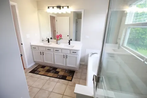 4 Catalpa Court Bolingbrook IL 60490