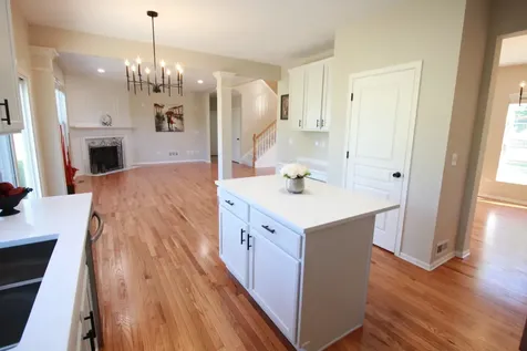 4 Catalpa Court Bolingbrook IL 60490