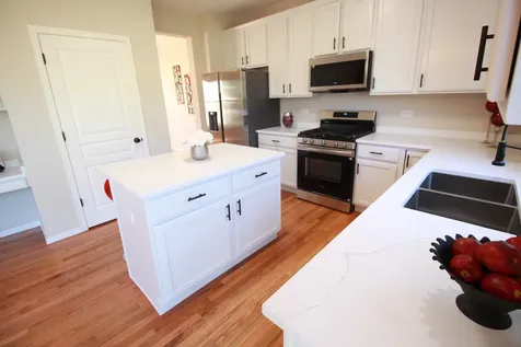 4 Catalpa Court Bolingbrook IL 60490