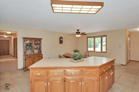 29285 South 80th Avenue Peotone IL 60468