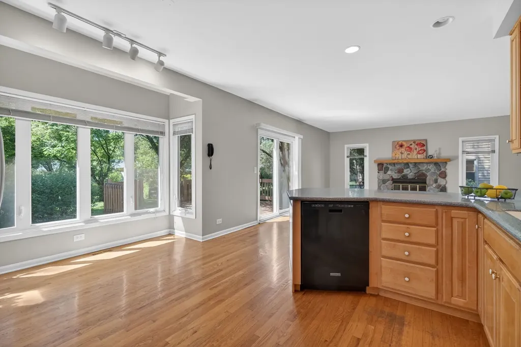 226 Ketten Drive Naperville IL 60563