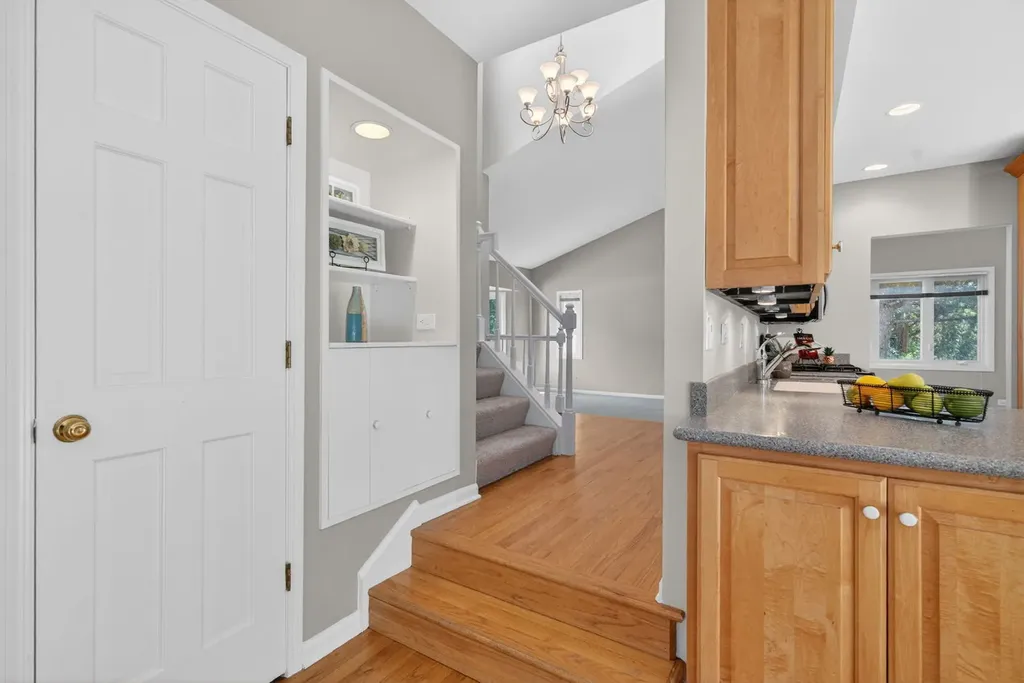 226 Ketten Drive Naperville IL 60563